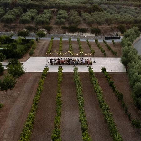 Citrus Grove Luxury Villas Skaleta Exteriör bild
