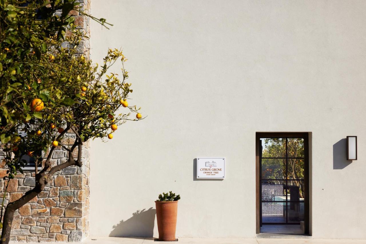 Citrus Grove Luxury Villas Skaleta Exteriör bild