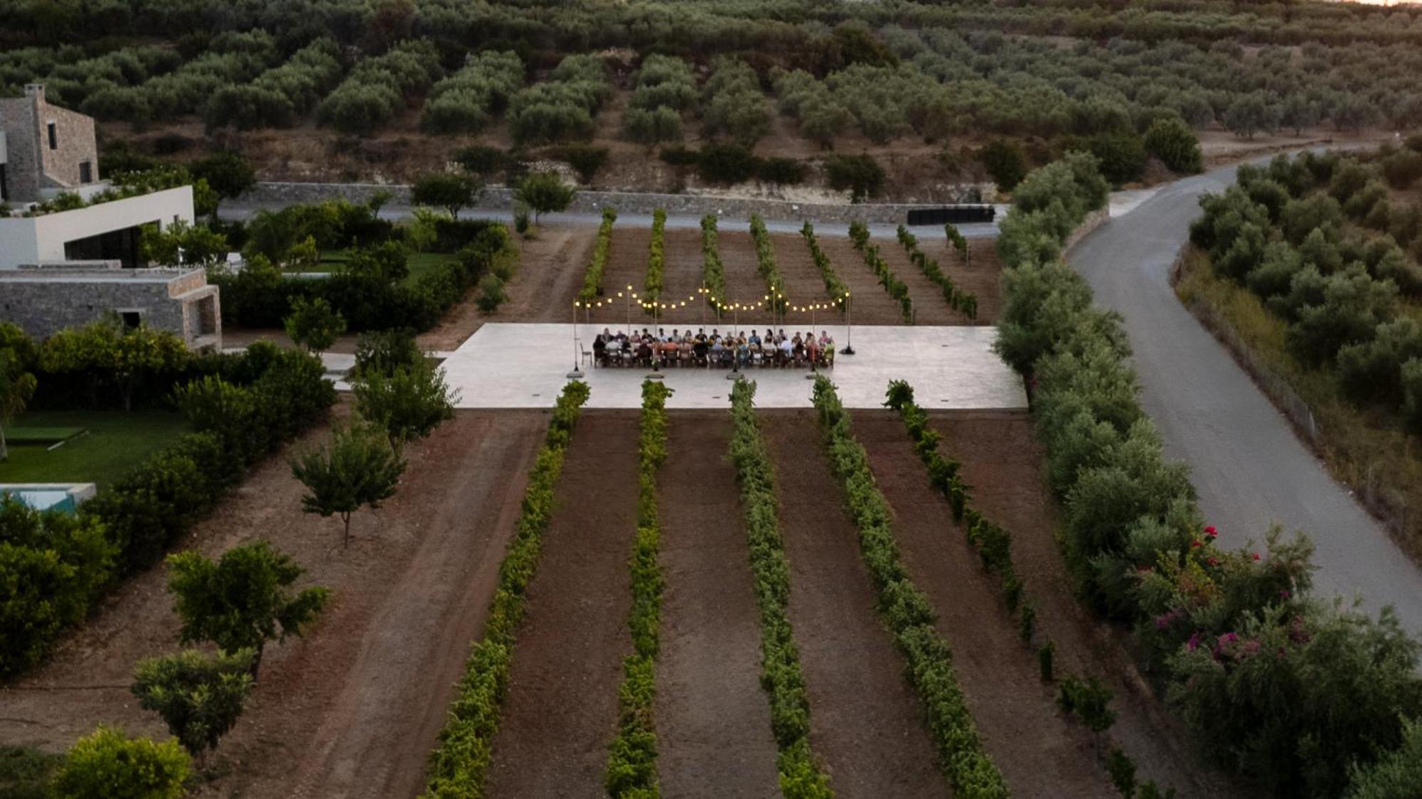 Citrus Grove Luxury Villas Skaleta Exteriör bild